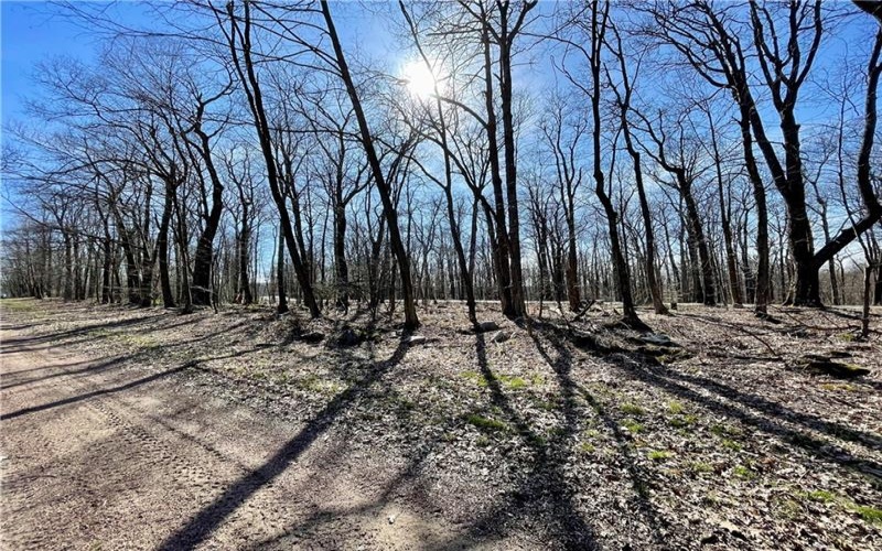 13 14 15 16 Laurel Summit Rd., Boswell, 15531, ,Farm-acreage-lot,For Sale,Laurel Summit Rd.,1742950