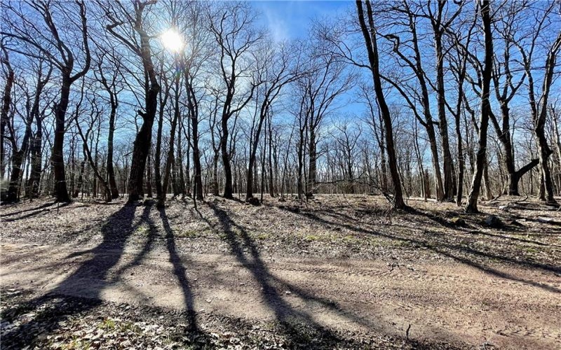13 14 15 16 Laurel Summit Rd., Boswell, 15531, ,Farm-acreage-lot,For Sale,Laurel Summit Rd.,1742950