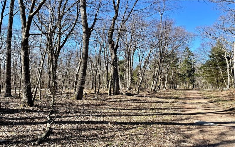 13 14 15 16 Laurel Summit Rd., Boswell, 15531, ,Farm-acreage-lot,For Sale,Laurel Summit Rd.,1742950