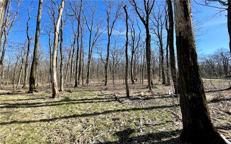 13 14 15 16 Laurel Summit Rd., Boswell, 15531, ,Farm-acreage-lot,For Sale,Laurel Summit Rd.,1742950