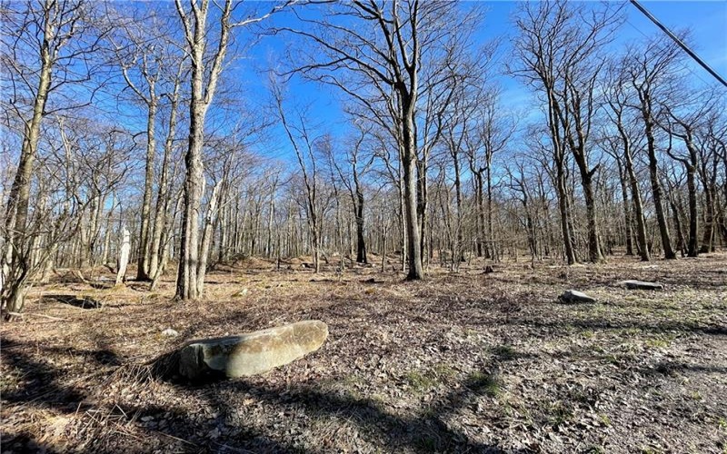 13 14 15 16 Laurel Summit Rd., Boswell, 15531, ,Farm-acreage-lot,For Sale,Laurel Summit Rd.,1742950