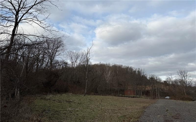1 Polecat Hollow Rd, Waynesburg, 15370, ,Farm-acreage-lot,For Sale,Polecat Hollow Rd,1732726