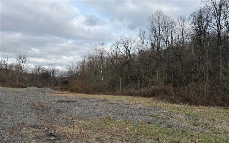 1 Polecat Hollow Rd, Waynesburg, 15370, ,Farm-acreage-lot,For Sale,Polecat Hollow Rd,1732726