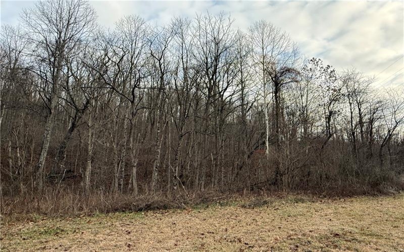 1 Polecat Hollow Rd, Waynesburg, 15370, ,Farm-acreage-lot,For Sale,Polecat Hollow Rd,1732726