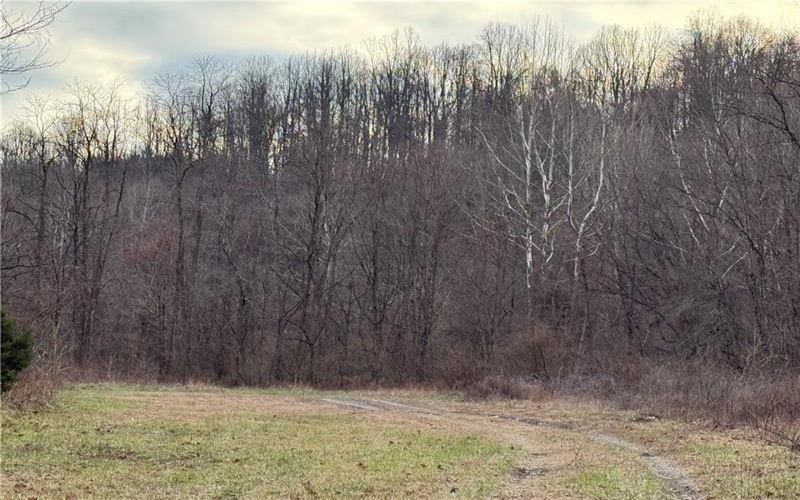 1 Polecat Hollow Rd, Waynesburg, 15370, ,Farm-acreage-lot,For Sale,Polecat Hollow Rd,1732726