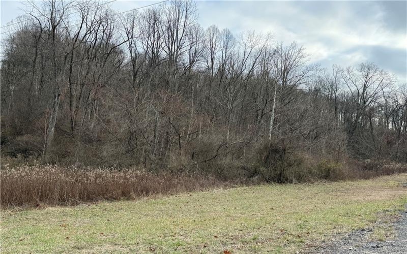 1 Polecat Hollow Rd, Waynesburg, 15370, ,Farm-acreage-lot,For Sale,Polecat Hollow Rd,1732726