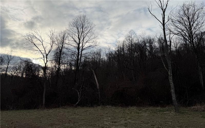 1 Polecat Hollow Rd, Waynesburg, 15370, ,Farm-acreage-lot,For Sale,Polecat Hollow Rd,1732726