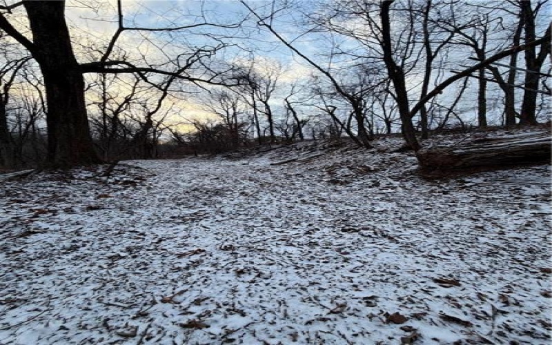00 Saltsburg Rd, Murrysville, 15668, ,Farm-acreage-lot,For Sale,Saltsburg Rd,1737067