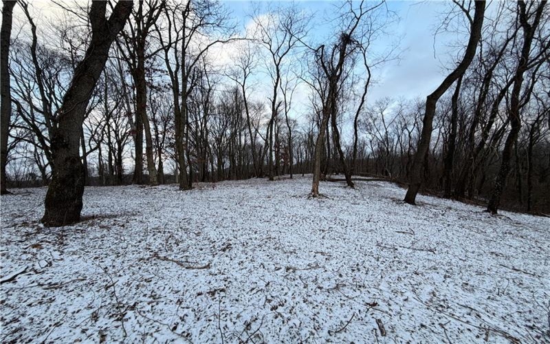 00 Saltsburg Rd, Murrysville, 15668, ,Farm-acreage-lot,For Sale,Saltsburg Rd,1737067