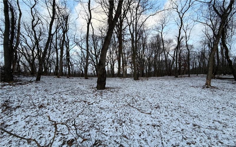 00 Saltsburg Rd, Murrysville, 15668, ,Farm-acreage-lot,For Sale,Saltsburg Rd,1737067