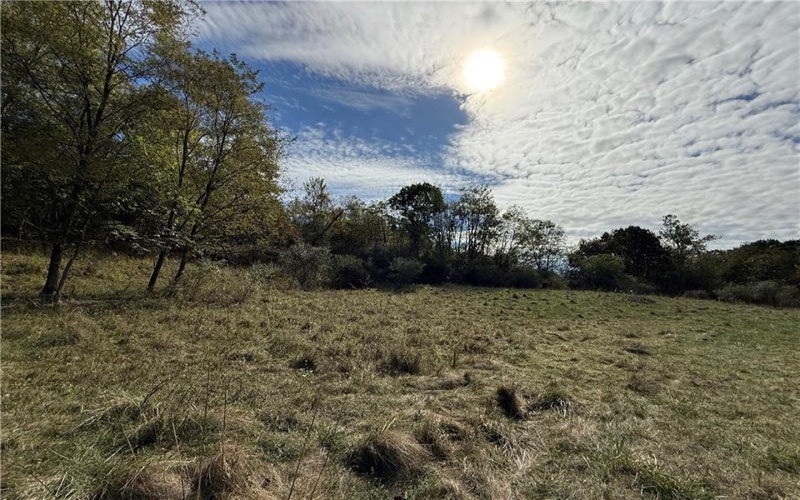 00 Mine Road, Waynesburg, 15370, ,Farm-acreage-lot,For Sale,Mine Road,1727083
