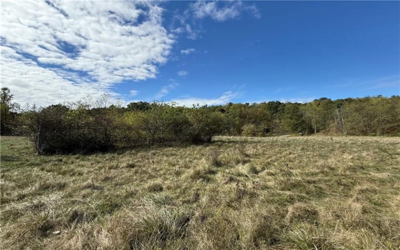 00 Mine Road, Waynesburg, 15370, ,Farm-acreage-lot,For Sale,Mine Road,1727083