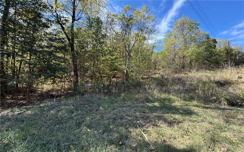 00 Mine Road, Waynesburg, 15370, ,Farm-acreage-lot,For Sale,Mine Road,1727083