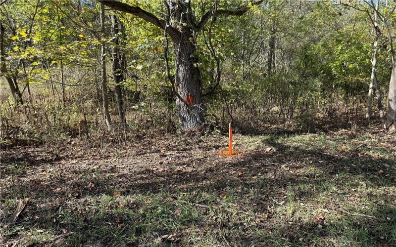 00 Mine Road, Waynesburg, 15370, ,Farm-acreage-lot,For Sale,Mine Road,1727083
