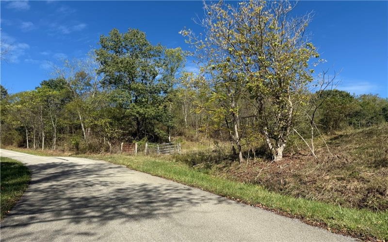 00 Mine Road, Waynesburg, 15370, ,Farm-acreage-lot,For Sale,Mine Road,1727083