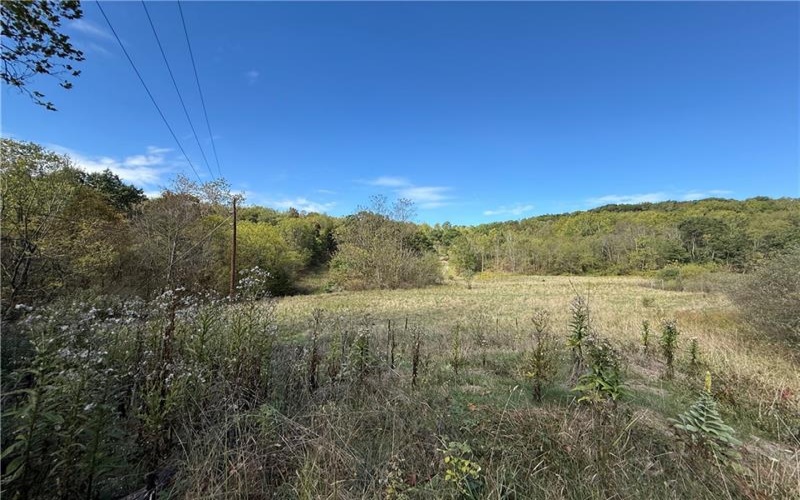00 Mine Road, Waynesburg, 15370, ,Farm-acreage-lot,For Sale,Mine Road,1727083