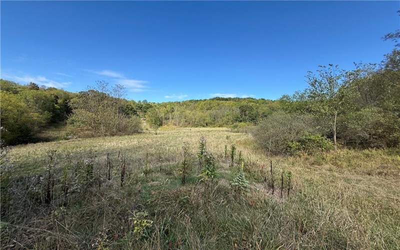 00 Mine Road, Waynesburg, 15370, ,Farm-acreage-lot,For Sale,Mine Road,1727083