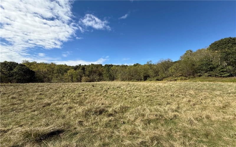 00 Mine Road, Waynesburg, 15370, ,Farm-acreage-lot,For Sale,Mine Road,1727083