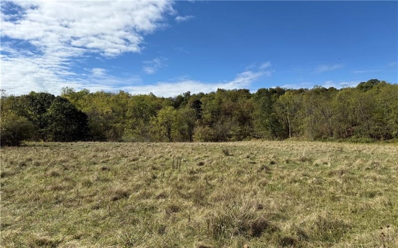 00 Mine Road, Waynesburg, 15370, ,Farm-acreage-lot,For Sale,Mine Road,1727083