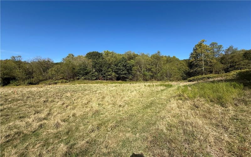 00 Mine Road, Waynesburg, 15370, ,Farm-acreage-lot,For Sale,Mine Road,1727083