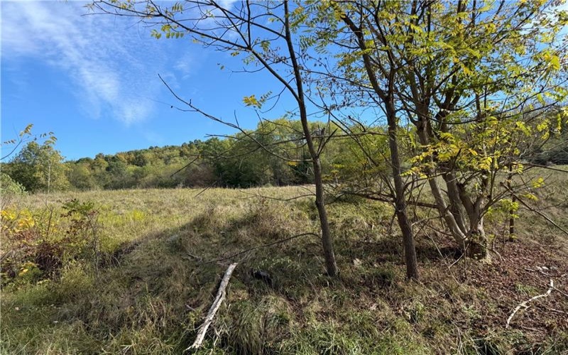 00 Mine Road, Waynesburg, 15370, ,Farm-acreage-lot,For Sale,Mine Road,1727083