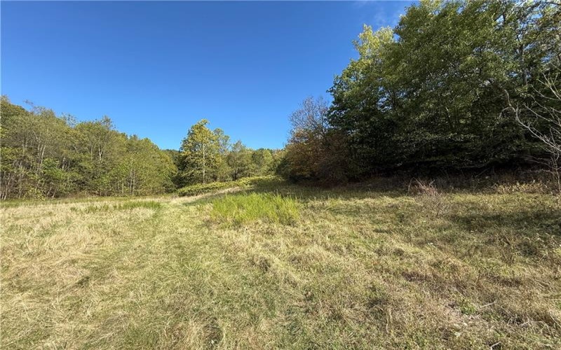 00 Mine Road, Waynesburg, 15370, ,Farm-acreage-lot,For Sale,Mine Road,1727083