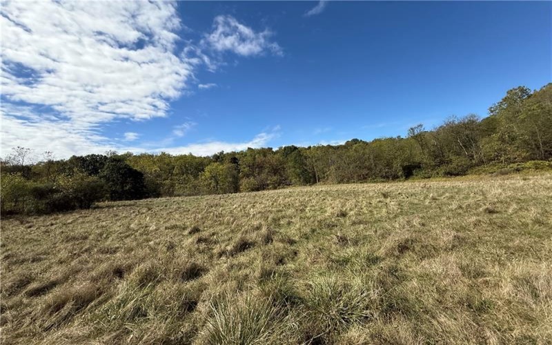 00 Mine Road, Waynesburg, 15370, ,Farm-acreage-lot,For Sale,Mine Road,1727083