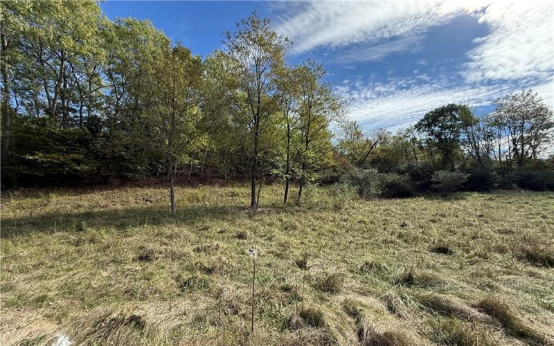 00 Mine Road, Waynesburg, 15370, ,Farm-acreage-lot,For Sale,Mine Road,1727083