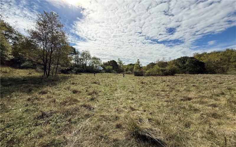 00 Mine Road, Waynesburg, 15370, ,Farm-acreage-lot,For Sale,Mine Road,1727083