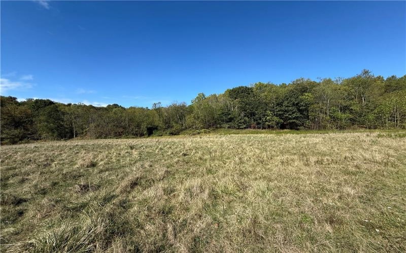 00 Mine Road, Waynesburg, 15370, ,Farm-acreage-lot,For Sale,Mine Road,1727083