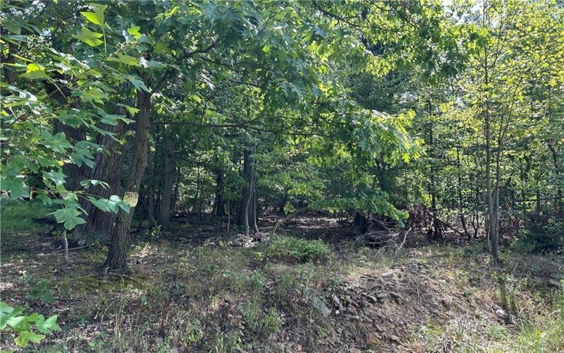 0 6th St, Connellsville, 15425, ,Farm-acreage-lot,For Sale,6th St,1732833