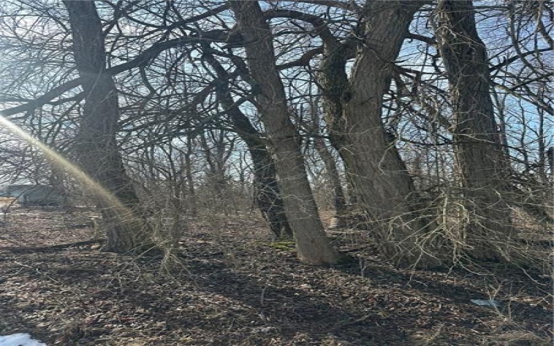 0 3rd St, Midway, 15060, ,Farm-acreage-lot,For Sale,3rd St,1740288