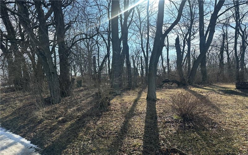 0 3rd St, Midway, 15060, ,Farm-acreage-lot,For Sale,3rd St,1740288