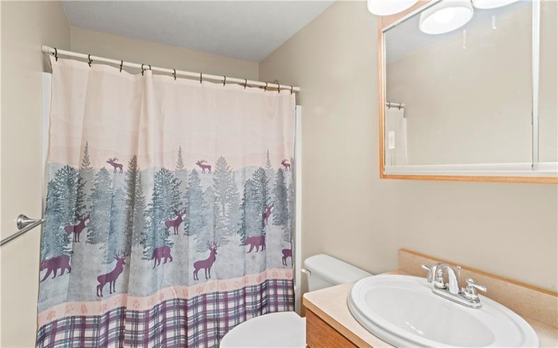 100 First Street, Confluence, 15424, 3 Bedrooms Bedrooms, ,2 BathroomsBathrooms,Residential,For Sale,First Street,1749609