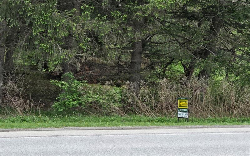 0 National Pike, US40-NR MT, Farmington, 15437, ,Farm-acreage-lot,For Sale,National Pike, US40-NR MT,1749785