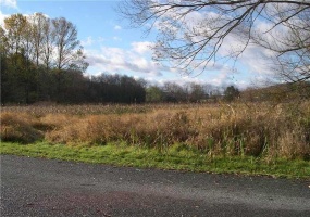 Lot 36-39 Baton Road, Ligonier, 15658, ,Farm-acreage-lot,For Sale,Baton Road,1748120 Lot 36-39 Baton Road, Ligonier, 15658, ,Farm-acreage-lot,For Sale,Baton Road,1748120