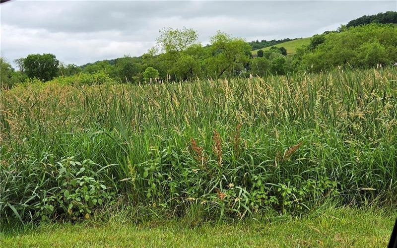 Lot 36-39 Baton Road, Ligonier, 15658, ,Farm-acreage-lot,For Sale,Baton Road,1748120