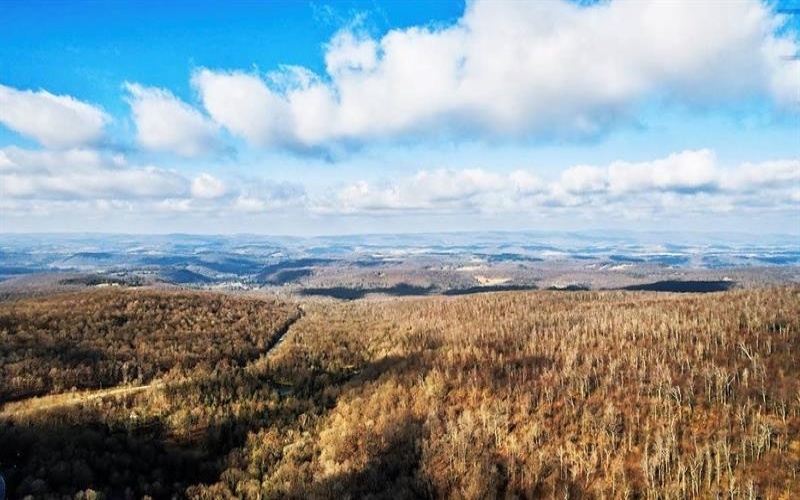 0 Us-30, Laughlintown, 15655, ,Farm-acreage-lot,For Sale,Us-30,1750090