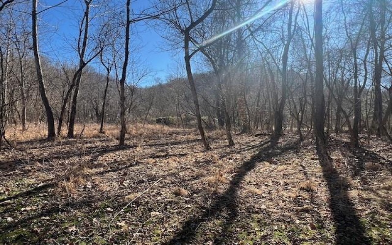 112 River Rd, East Millsboro, 15433, ,Farm-acreage-lot,For Sale,River Rd,1748443