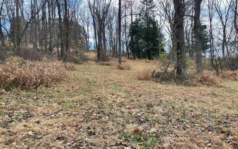 000 Hilton/Margurite Rd, Greensburg, 15601, ,Farm-acreage-lot,For Sale,Hilton/Margurite Rd,1748467