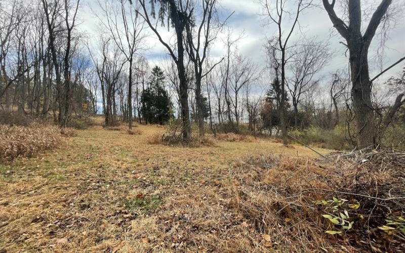 000 Hilton/Margurite Rd, Greensburg, 15601, ,Farm-acreage-lot,For Sale,Hilton/Margurite Rd,1748467