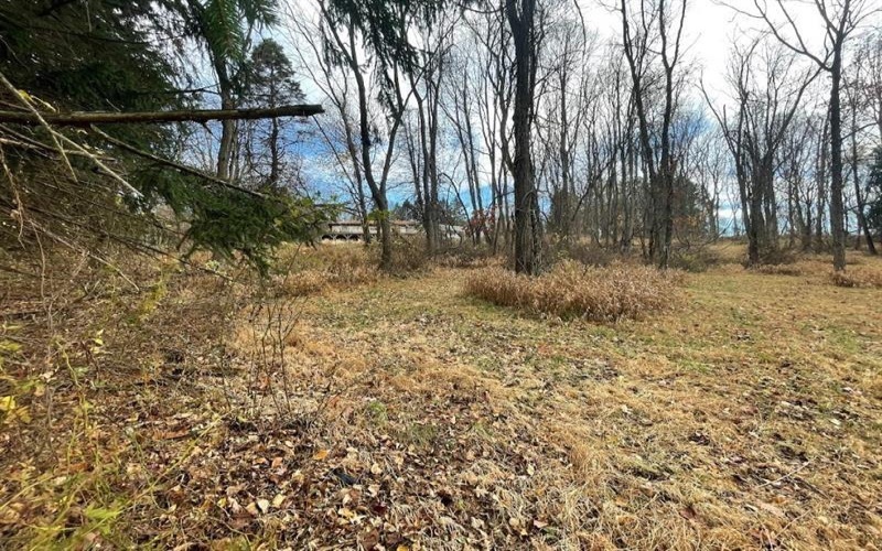 000 Hilton/Margurite Rd, Greensburg, 15601, ,Farm-acreage-lot,For Sale,Hilton/Margurite Rd,1748467