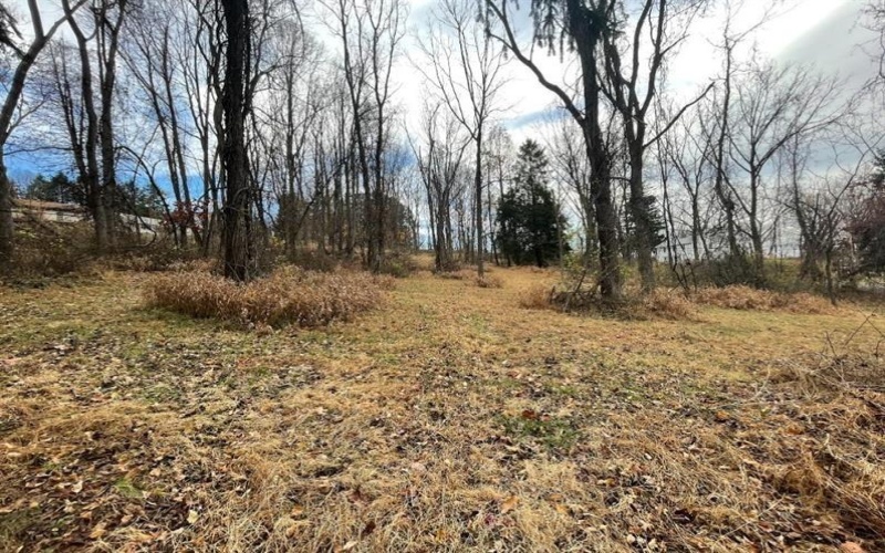 000 Hilton/Margurite Rd, Greensburg, 15601, ,Farm-acreage-lot,For Sale,Hilton/Margurite Rd,1748467