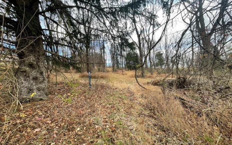 000 Hilton/Margurite Rd, Greensburg, 15601, ,Farm-acreage-lot,For Sale,Hilton/Margurite Rd,1748467