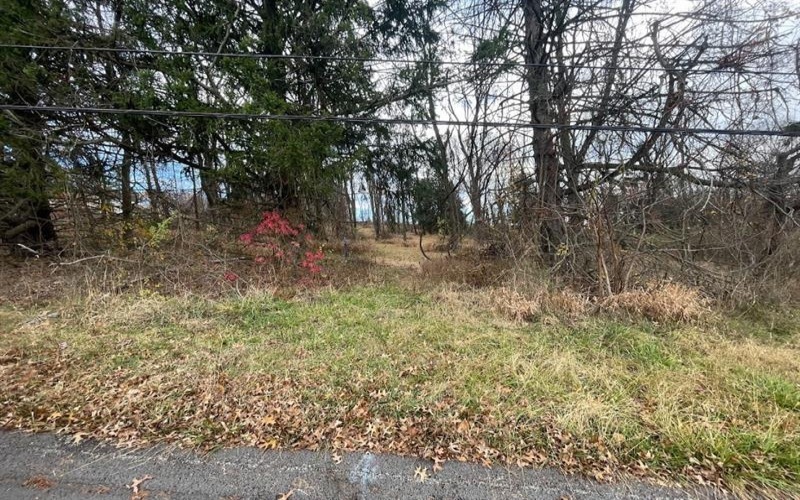 000 Hilton/Margurite Rd, Greensburg, 15601, ,Farm-acreage-lot,For Sale,Hilton/Margurite Rd,1748467