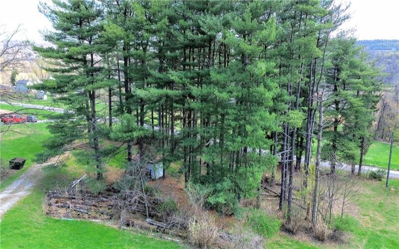 10 Spruce Ave, Fredericktown, 15333, ,Farm-acreage-lot,For Sale,Spruce Ave,1748504