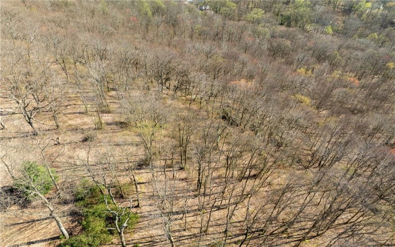 221 Malvina Ln, Latrobe, 15650, ,Farm-acreage-lot,For Sale,Malvina Ln,1749089