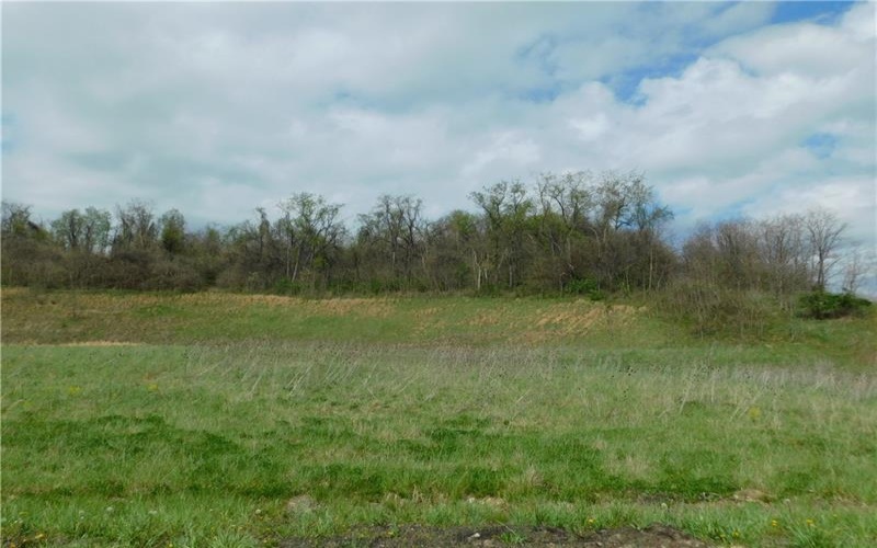 Morrell Avenue, Connellsville, 15425, ,Farm-acreage-lot,For Sale,Morrell Avenue,1749245