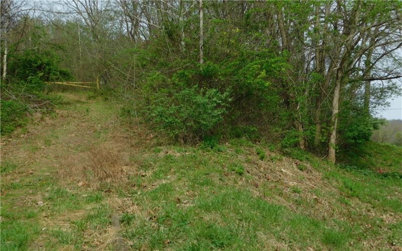 Alberts Road, Ruffs Dale, 15679, ,Farm-acreage-lot,For Sale,Alberts Road,1749246