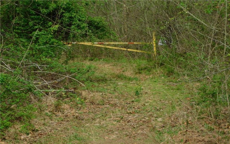 Alberts Road, Ruffs Dale, 15679, ,Farm-acreage-lot,For Sale,Alberts Road,1749246